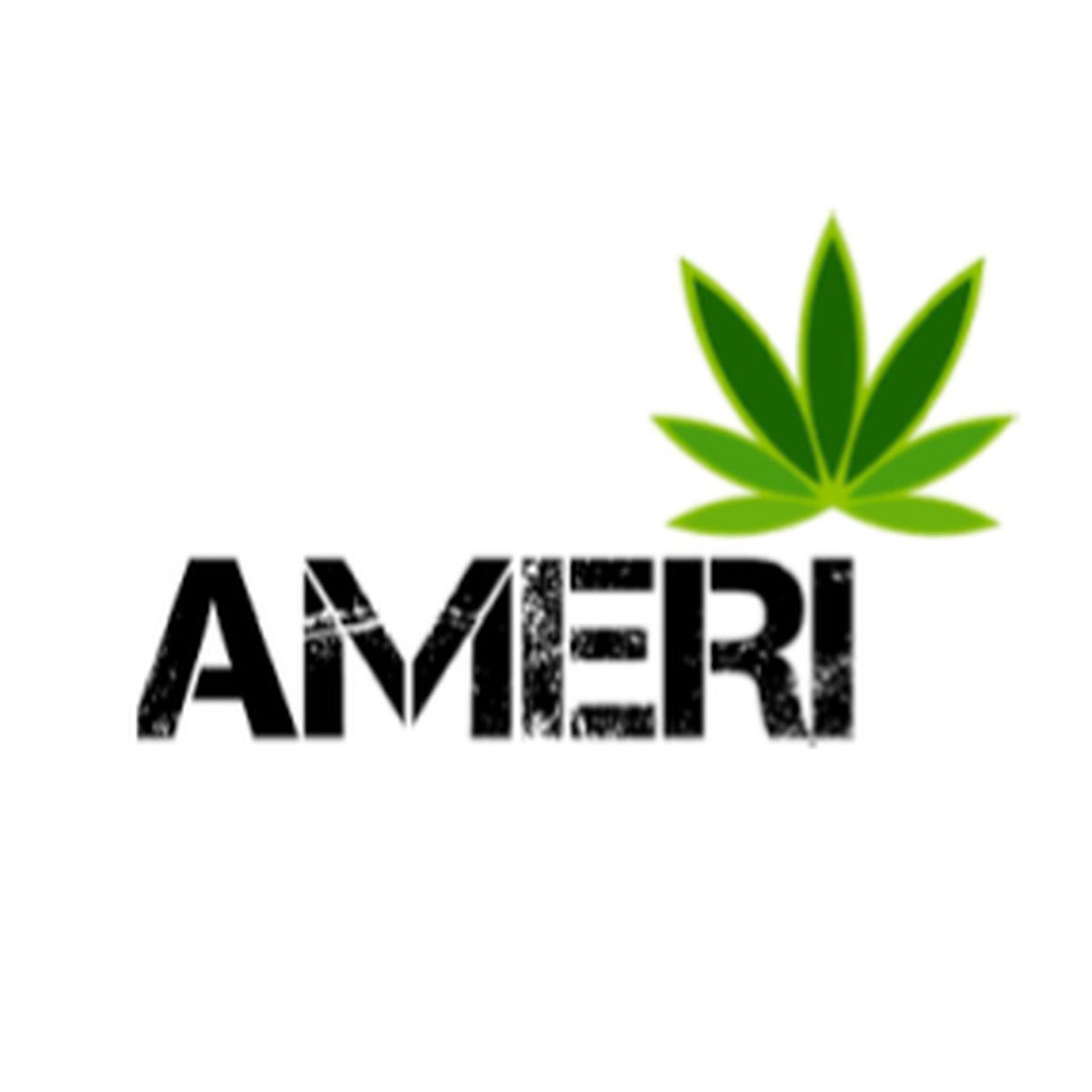 ameri-yorkville
