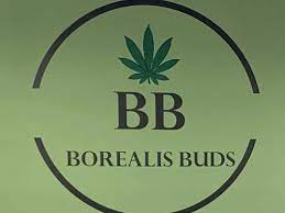 borealis-buds