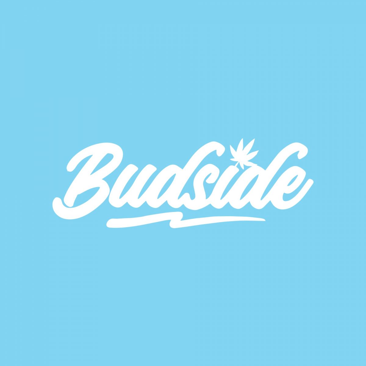 budside---cannabis-store