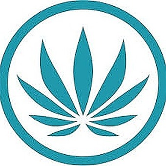 choom-cannabis-co.
