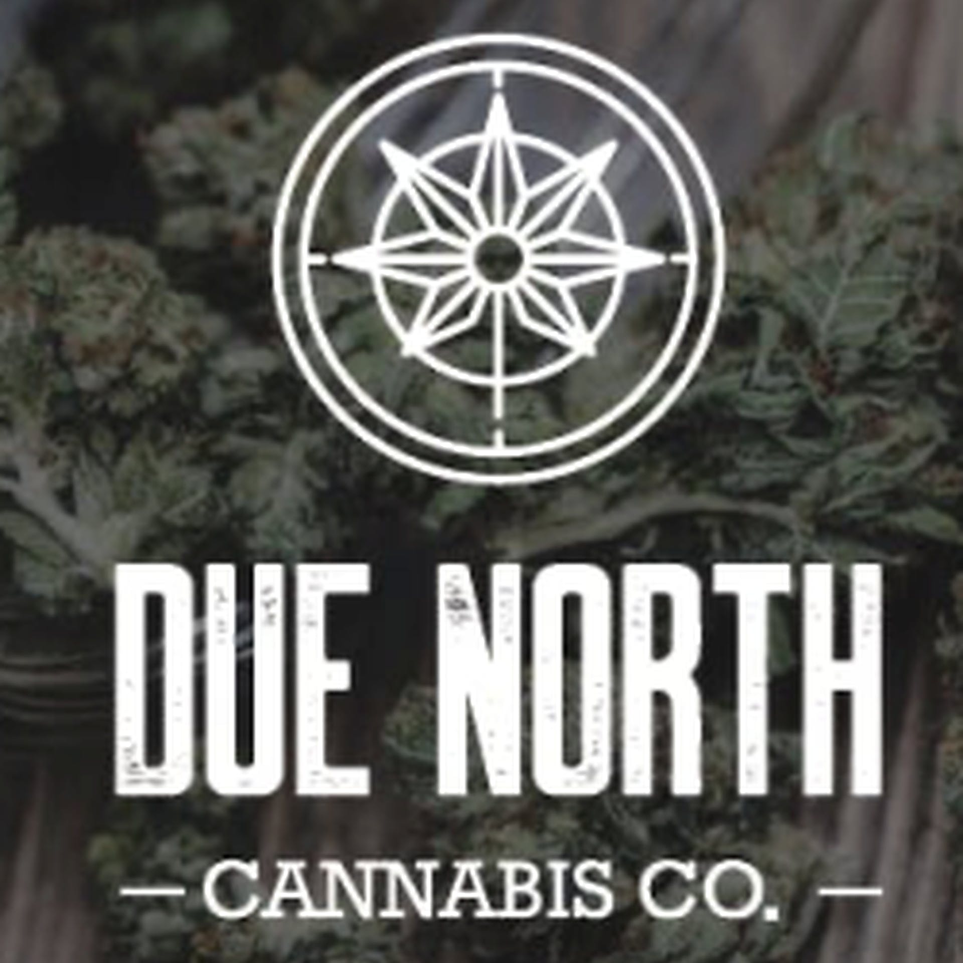 due-north-cannabis-co