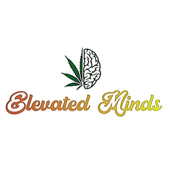 elevated-minds---stoney-creek