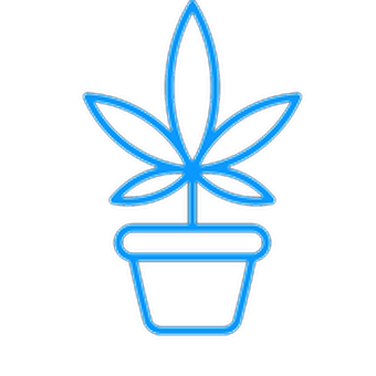 flower-pot---cannabis-dispensary