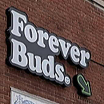 forever-buds---toronto