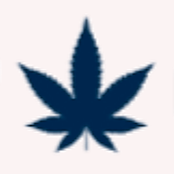gp-cannabis-store