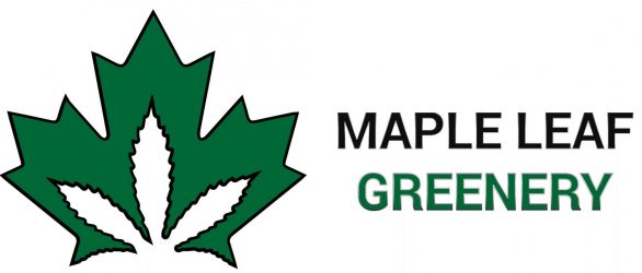 maple-leaf-greenery---new-westminster