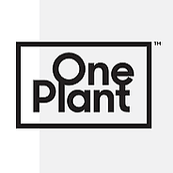 one-plant---kingston