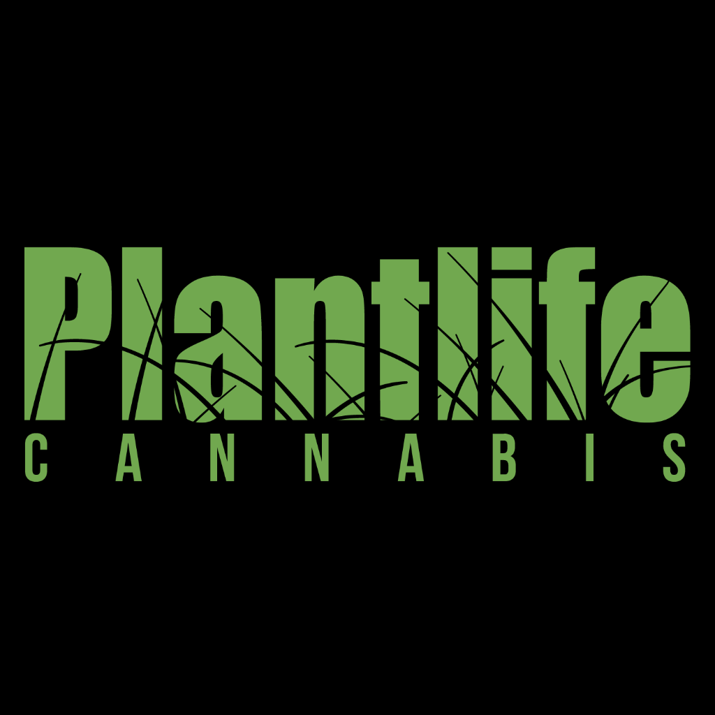 plantlife-cannabis---camrose