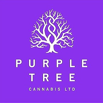 purple-tree-cannabis-|-roncesvalle's