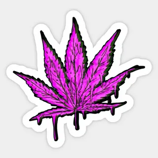 sticky-icky-cannabis