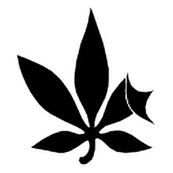 the-bend-cannabis-co.---kensington