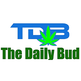the-daily-bud---dufferin-cres