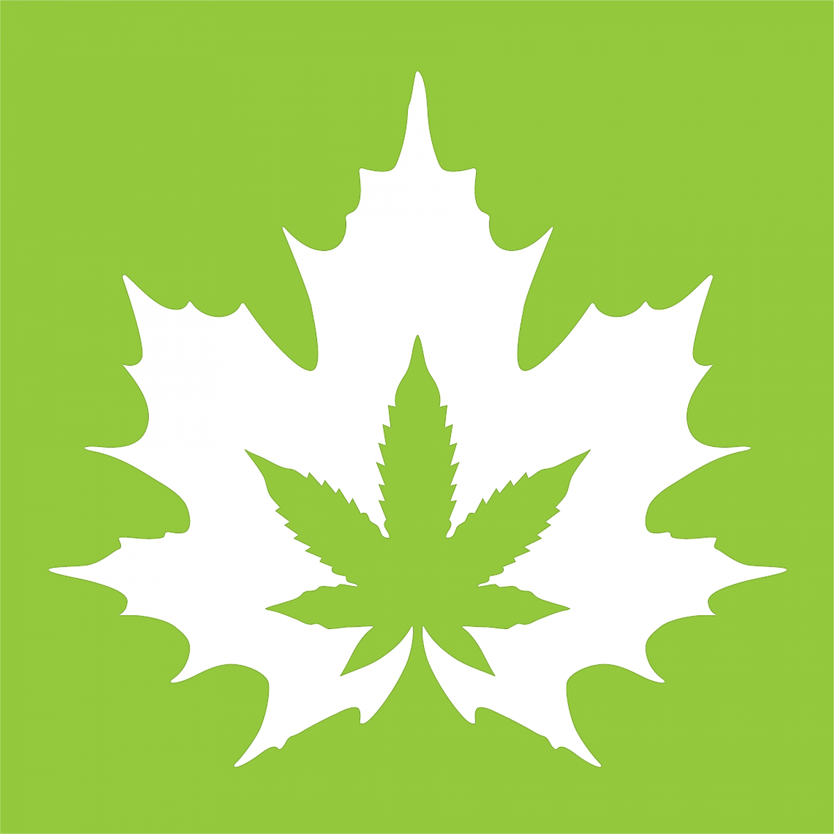 the-house-of-cannabis---oldtown-toronto-|-dispensary