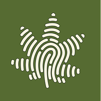 your-local-cannabis-(kennedy-&-lawrence)