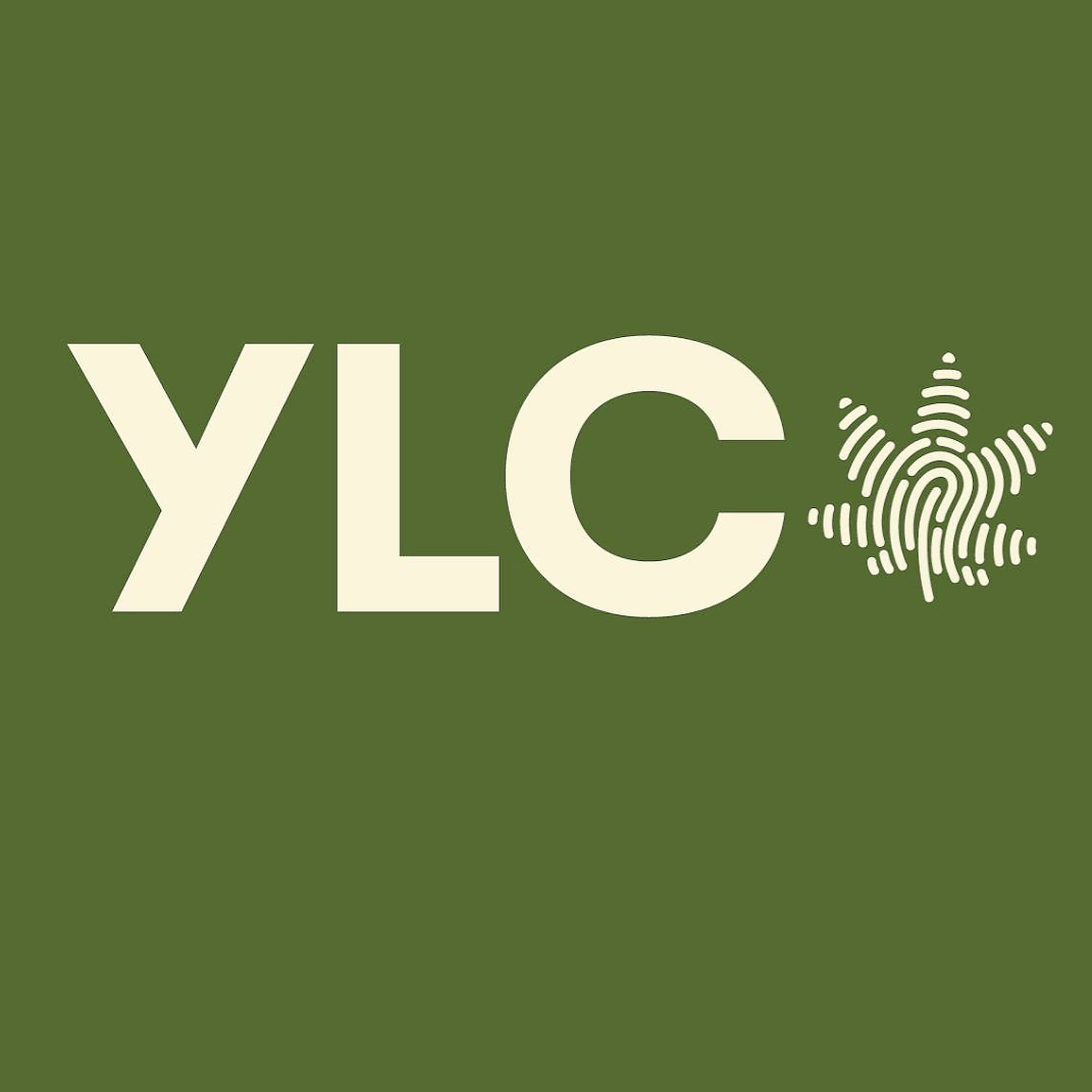 your-local-cannabis-(markham-&-steeles)